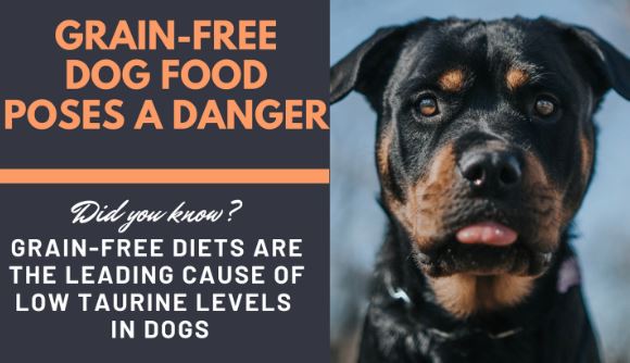 taurine and grain free dog food